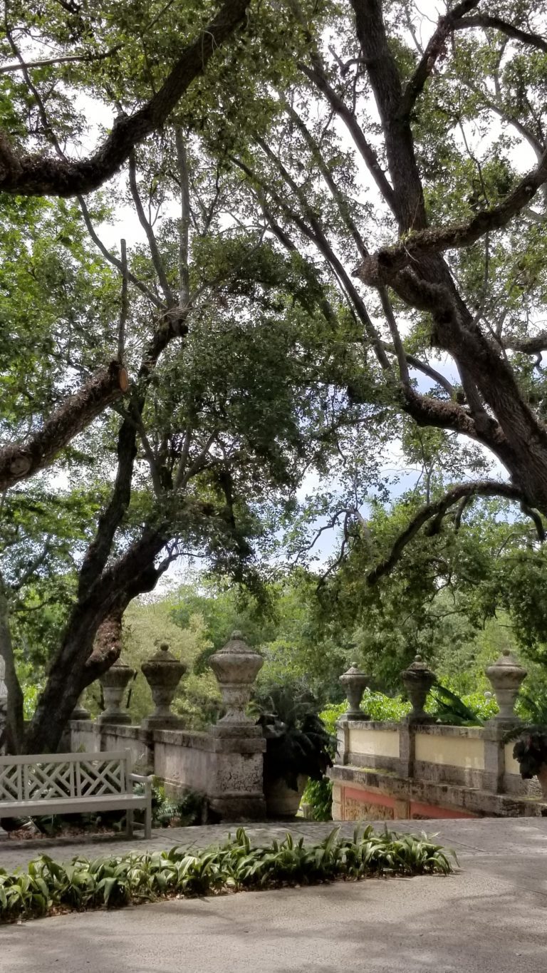 Oak trees on the Garden Mound