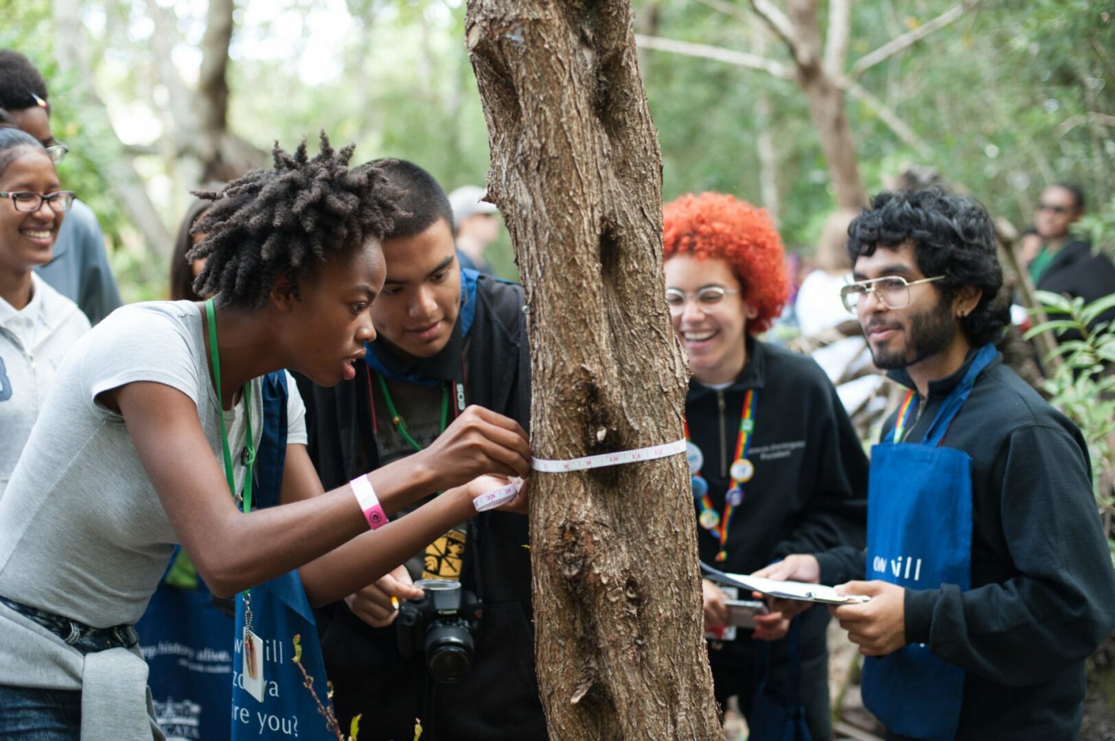 Teens measure a tree in the pine rockland hammock during Wild Vizcaya.