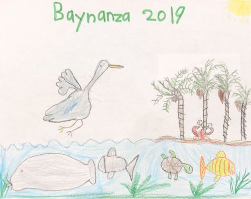 Hand-drawn artwork for Baynanza t-shirt design featuring a bird, palm trees, a crab, fish, and sea grass.