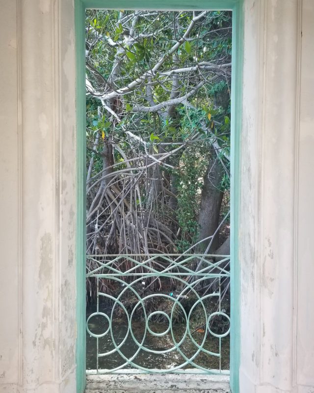 Decorative railing overlooking mangroves