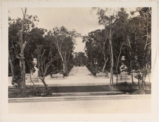 Early photo of the Entrance Cascade, surrounded by the native forest or rockland hammock that still stands today. Photo circa 1918.