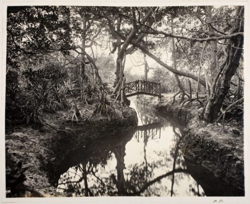 Vizcaya's Lagoon Gardens. Photo circa 1918.