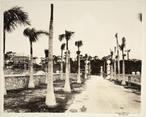 Construction of the Casba with Royal Palms along driveway. Photo dated May 3, 1917.