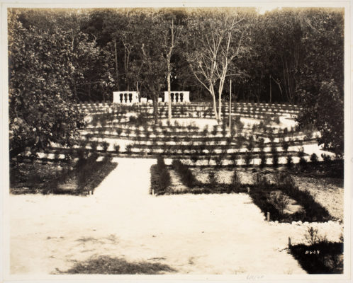 Vizcaya's Maze Garden. Photo dated June 1, 1920.