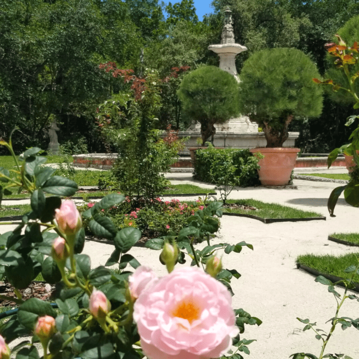 Vizcaya's Fountain Garden, formerly known as the Rose Garden