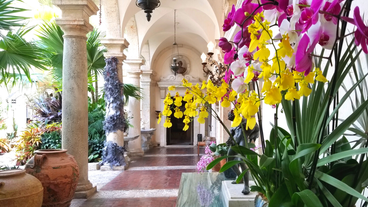 Potted orchids on display on a table in a long hallway