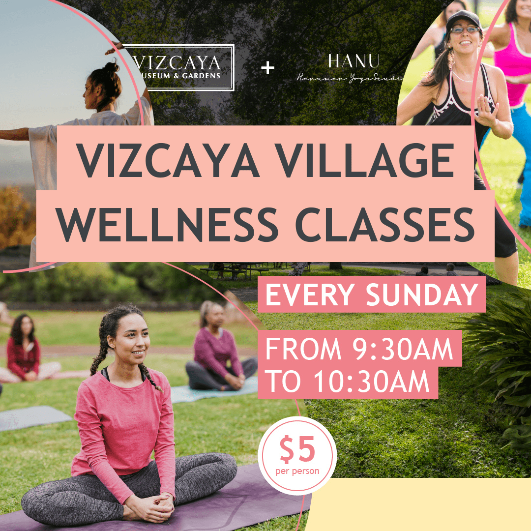 Vizcaya village wellness classes.