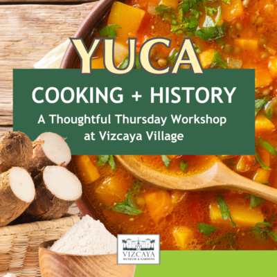 Yuca cooking and history a thoughtful thursday workshop at vizcaya village.