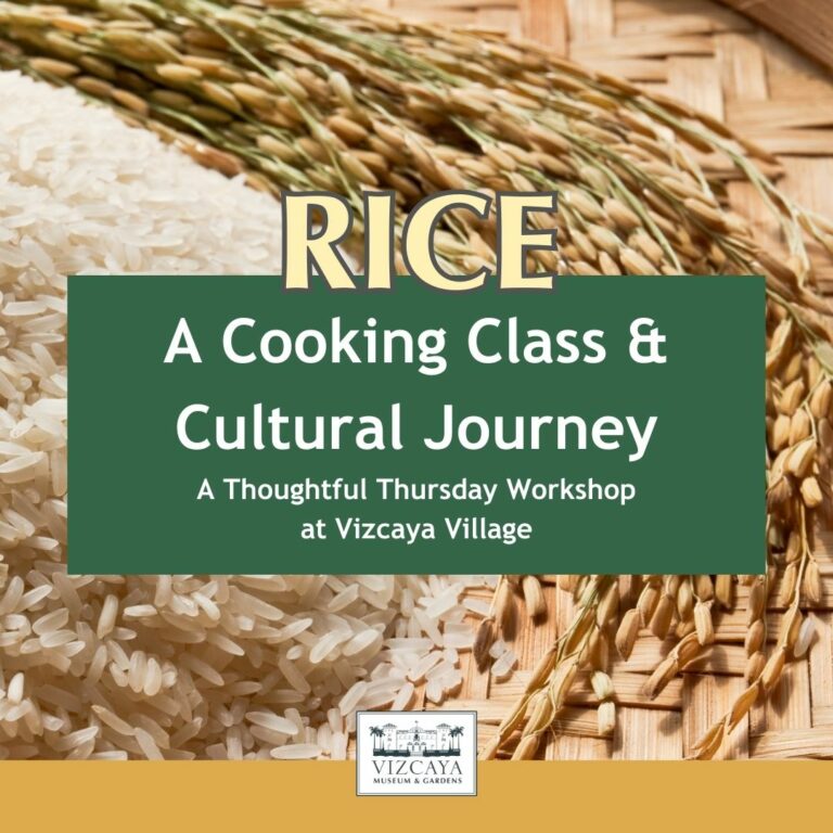Rice a cooking class and cultural journey.