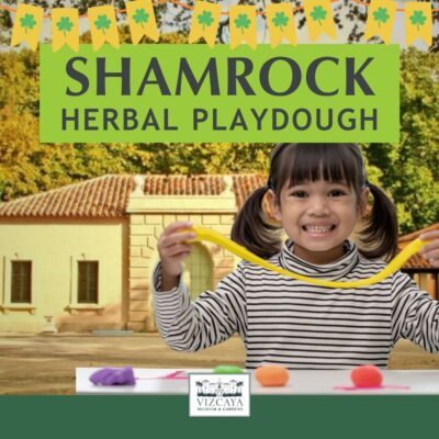 Shamrock herbal playdough.