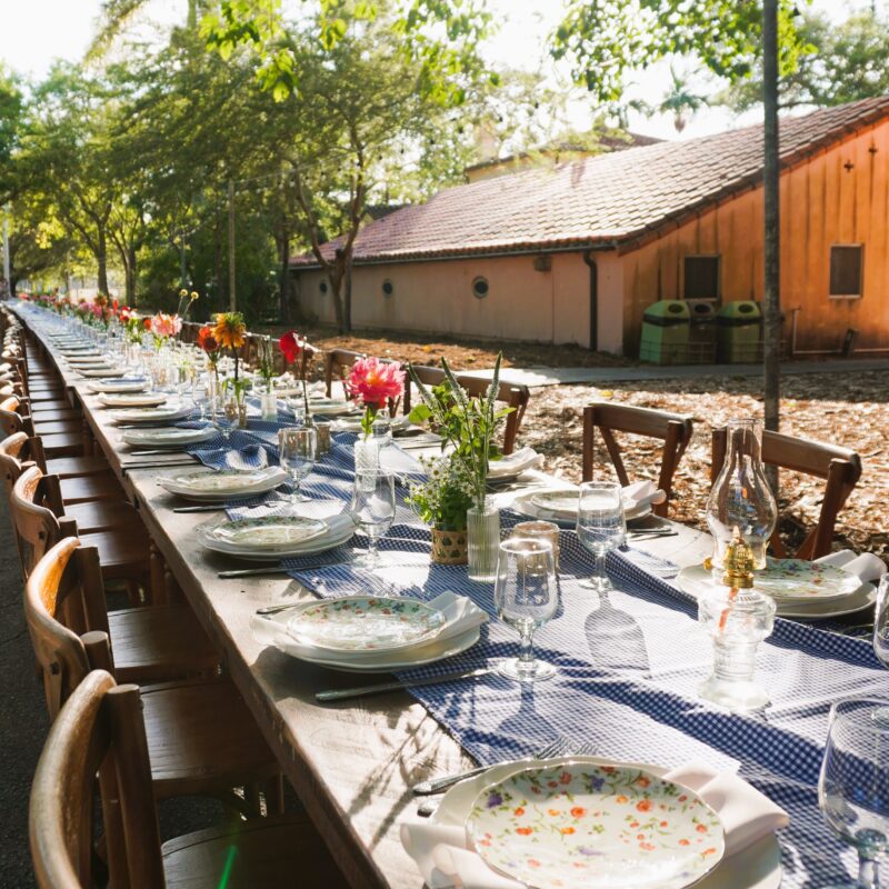 An outdoor dining setting with a long table prepared with plates, glasses, and floral centerpieces, located in a tree-lined area with dappled sunlight.