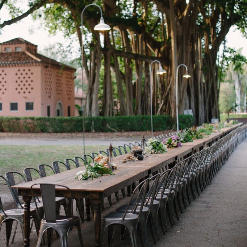 Outdoor long dining table setting under a banyan tree, with metal chairs and floral centerpieces, near a building with terracotta walls.