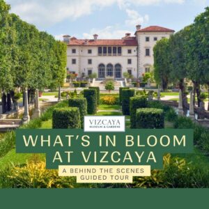 A large historic villa with lush, manicured gardens and trees, promoting a guided tour called "What’s in Bloom at Vizcaya.