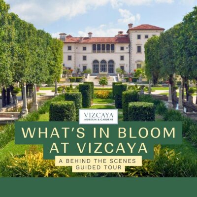 A large historic villa with lush, manicured gardens and trees, promoting a guided tour called "What’s in Bloom at Vizcaya.