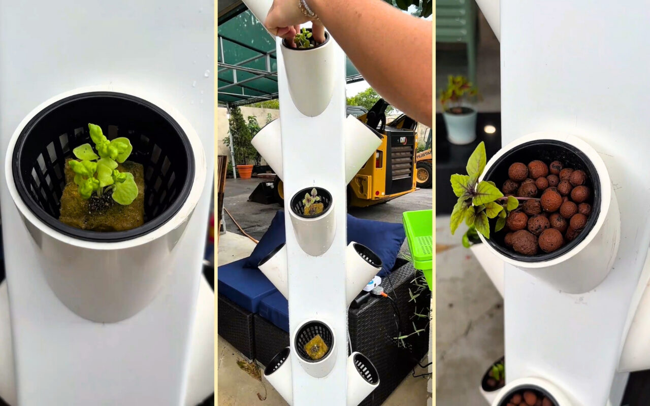 How to Build a DIY Hydroponics Vertical Tower