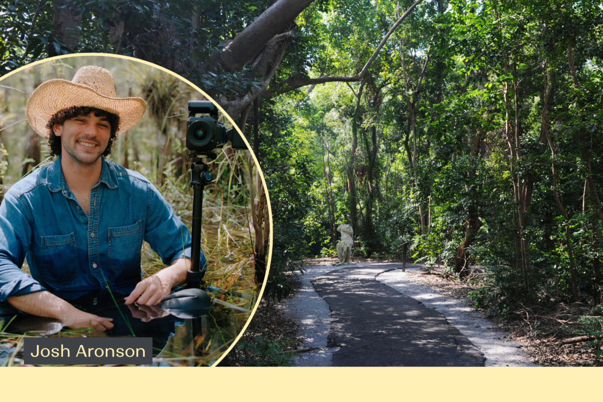 A man in a straw hat sits beside a camera on a tripod in an inset photo; main image shows a paved path through a green forest.